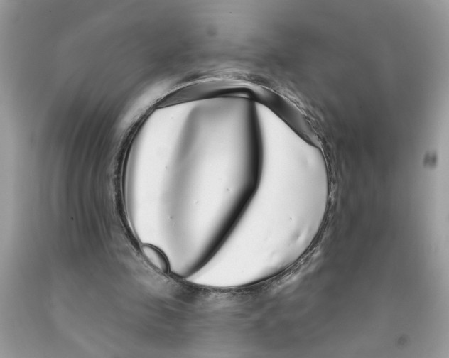 X0000091530341200709141439