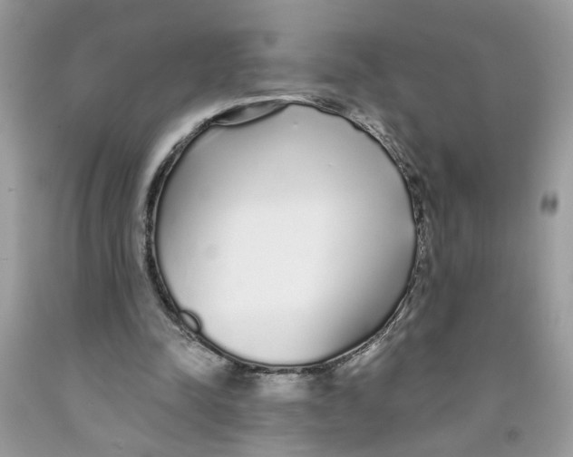 X0000091530342200709141439