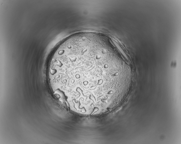 X0000091530343200709141439