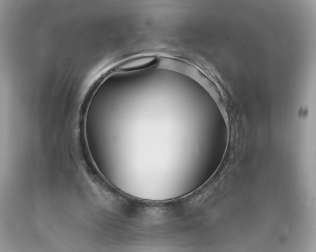 X0000091530344200709141439