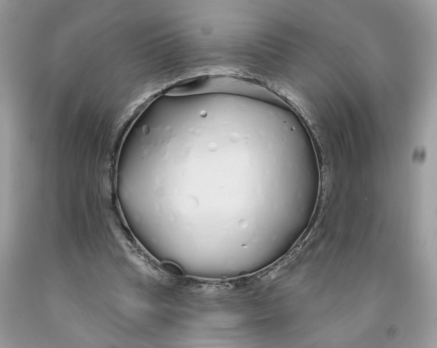 X0000091530345200709141439