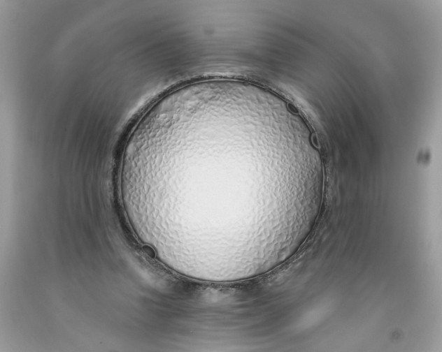 X0000091530346200709141439