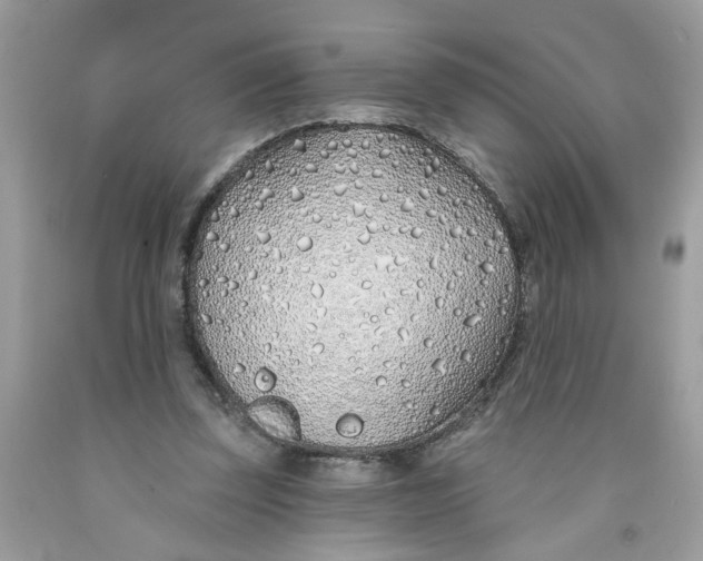 X0000091530347200709141439