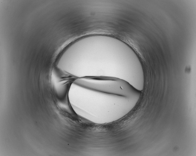 X0000091530348200709141440