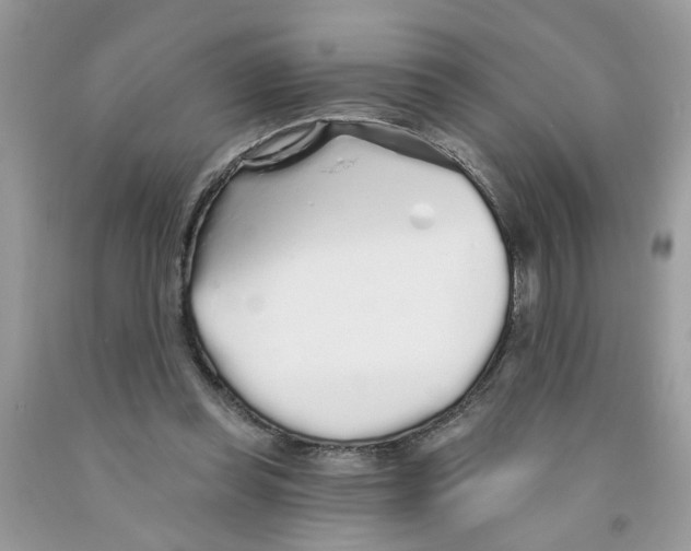 X0000091530349200709141440