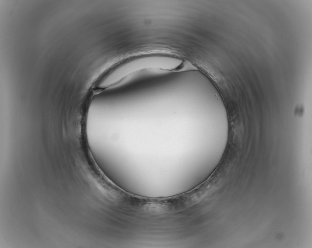 X0000091530350200709141440
