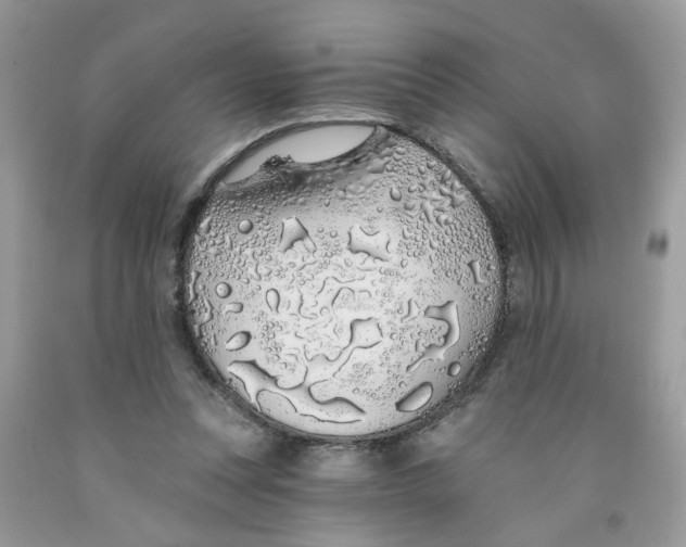 X0000091530351200709141440