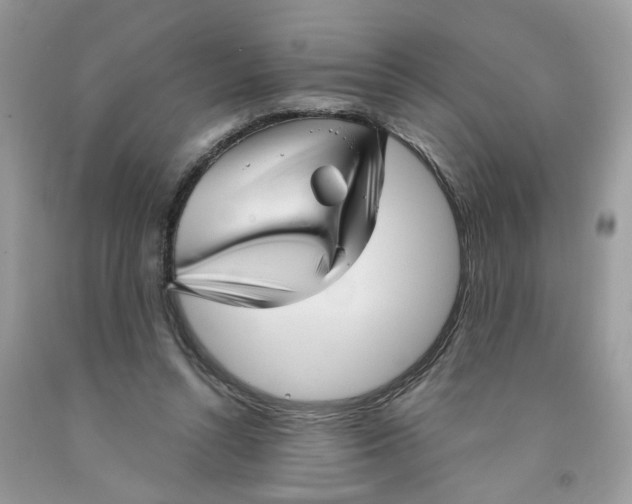X0000091530352200709141440