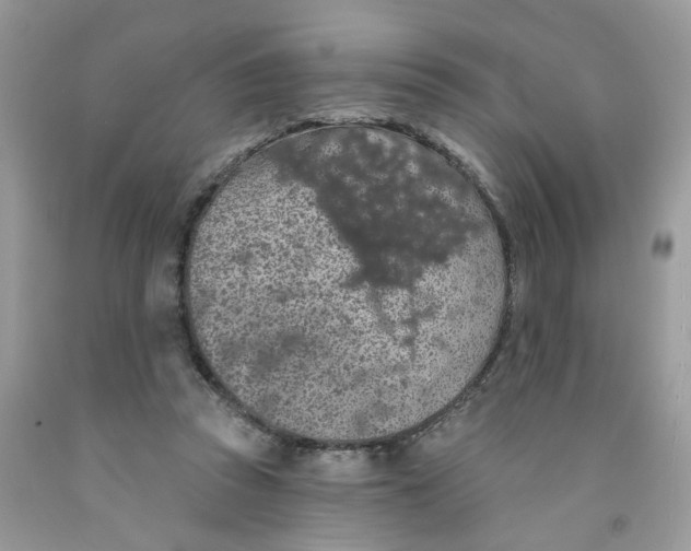 X0000091530353200709141440