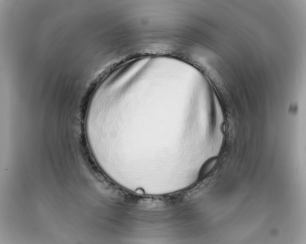 X0000091530354200709141440