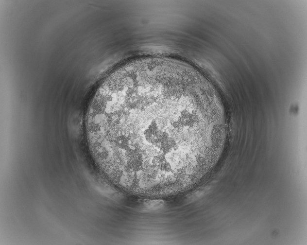 X0000091530355200709141440
