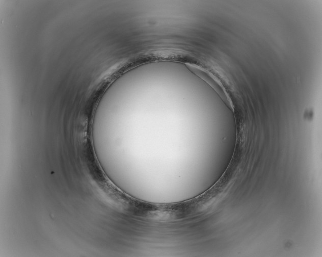 X0000091530356200709141440