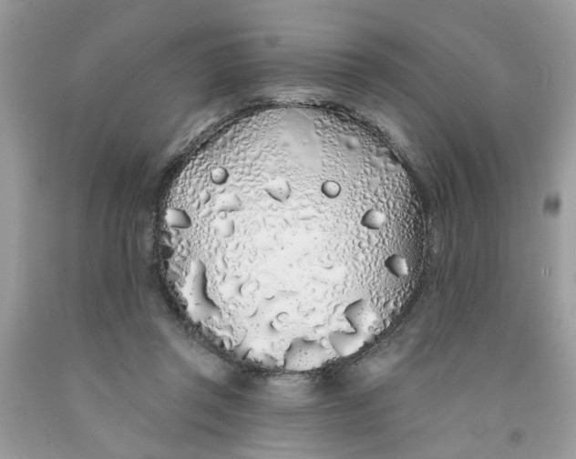 X0000091530357200709141440