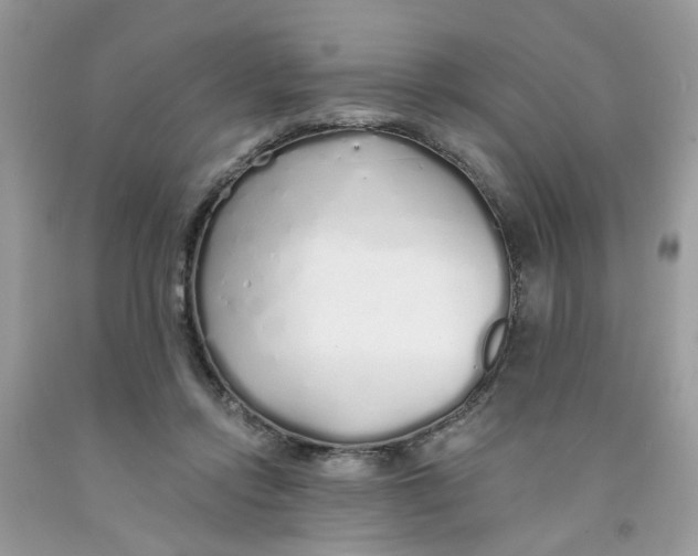 X0000091530358200709141440