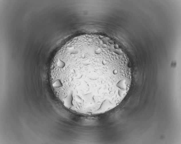 X0000091530359200709141440