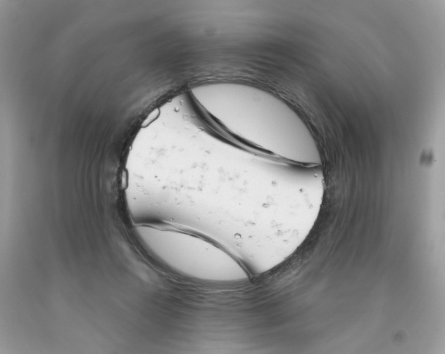 X0000091530360200709141440