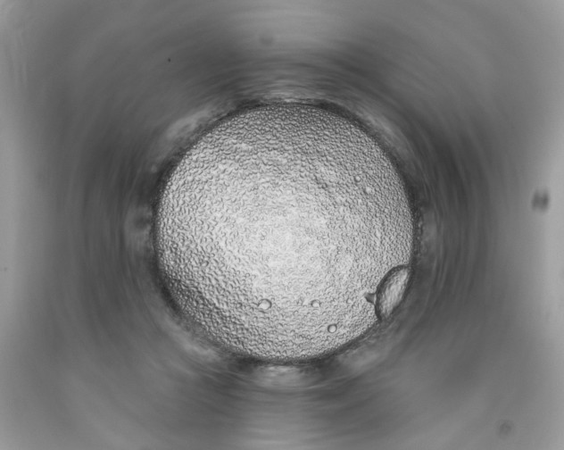 X0000091530361200709141440