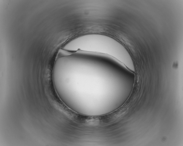 X0000091530362200709141440