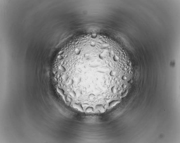 X0000091530363200709141440