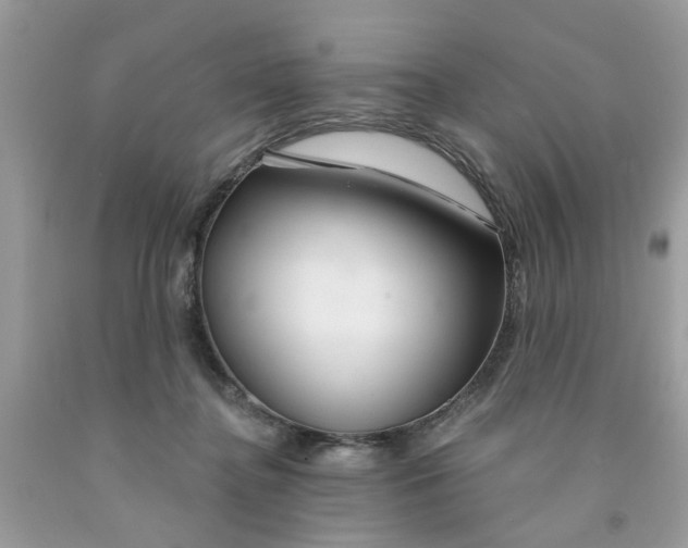 X0000091530364200709141440