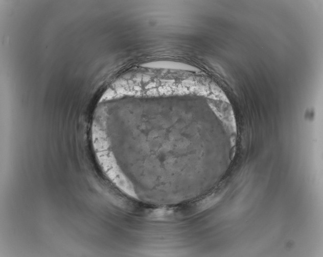 X0000091530366200709141440