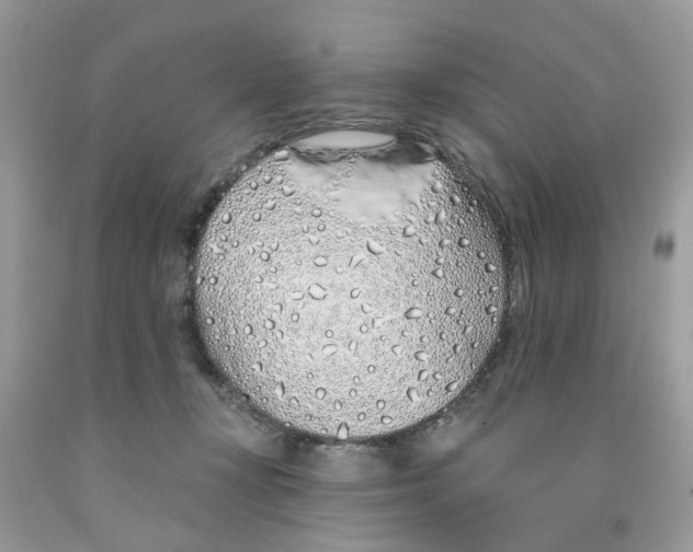 X0000091530367200709141440