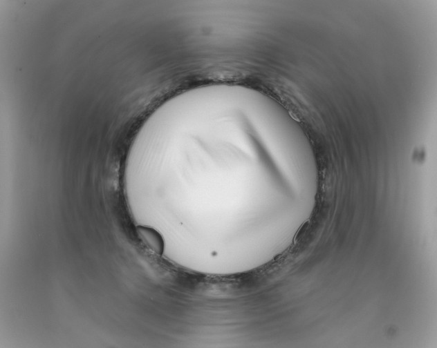 X0000091530368200709141440
