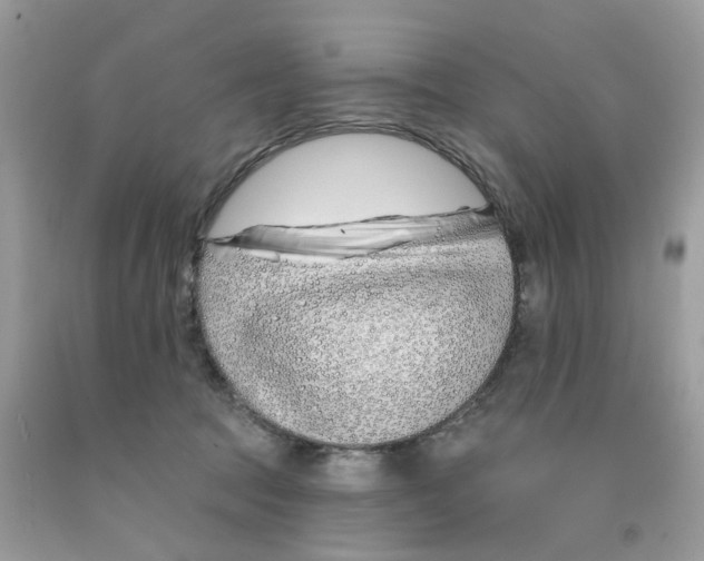 X0000091530369200709141440