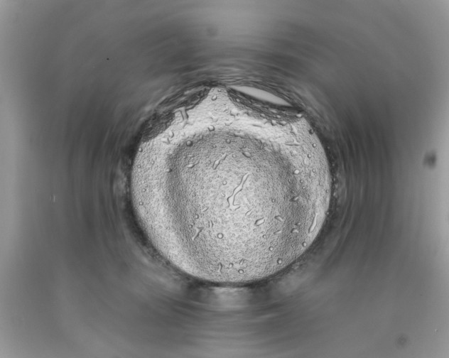 X0000091530371200709141440
