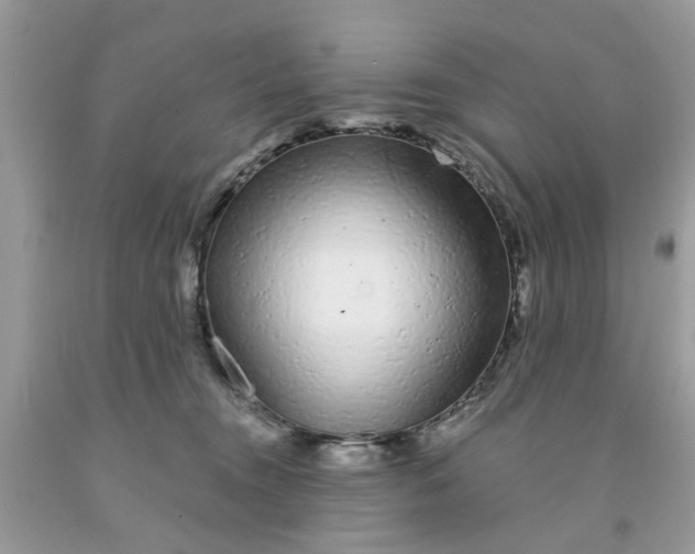 X0000091530372200709141440