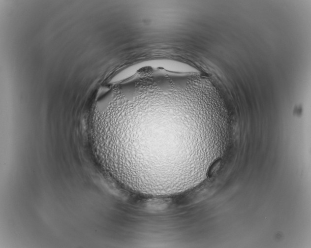 X0000091530373200709141440