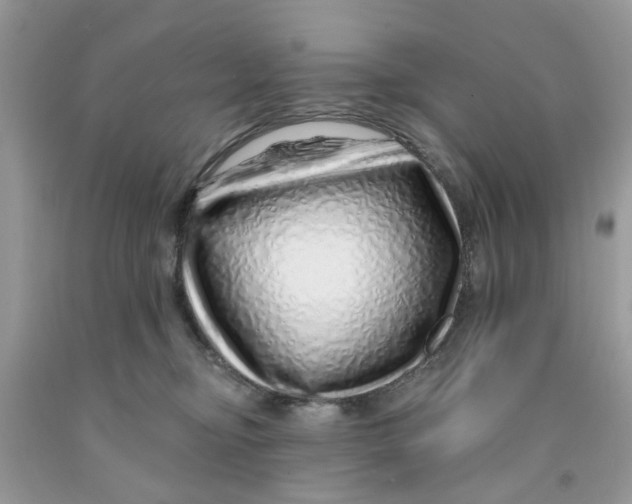 X0000091530374200709141440