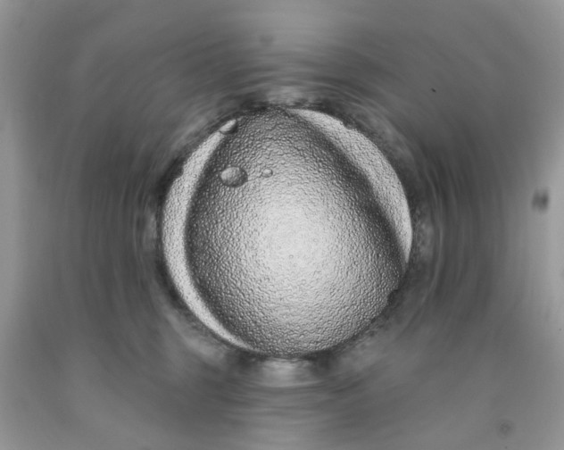 X0000091530375200709141440