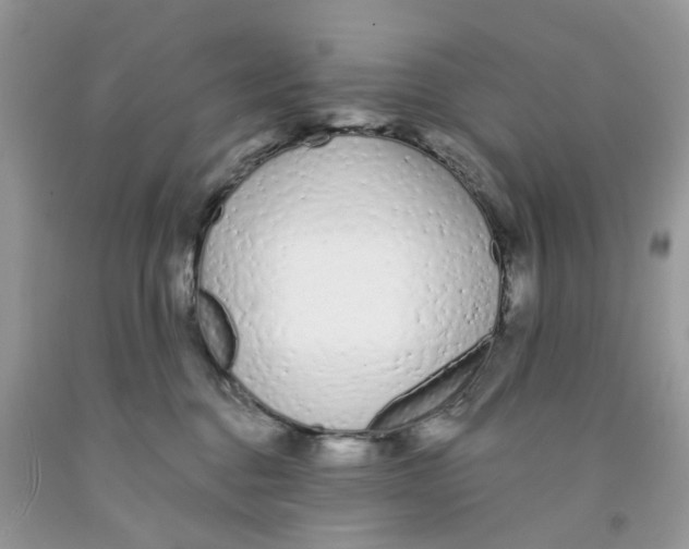 X0000091530376200709141440
