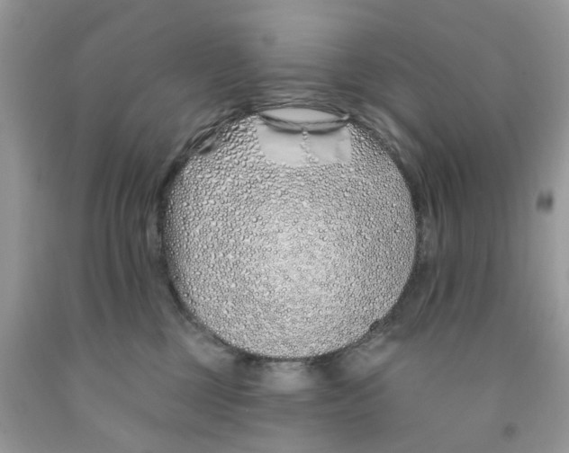 X0000091530377200709141440