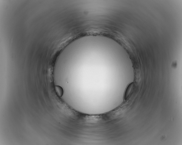 X0000091530378200709141440