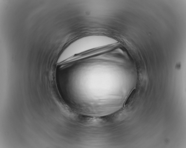 X0000091530379200709141440