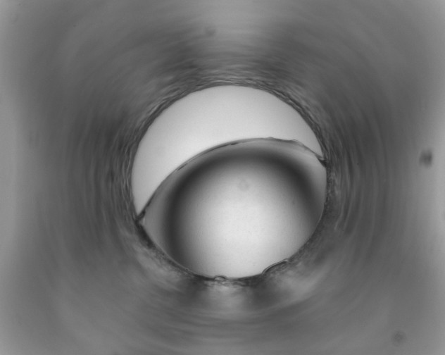 X0000091530380200709141440