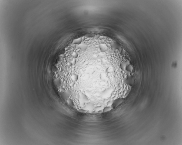 X0000091530381200709141440