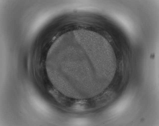 X0000091530382200709141440