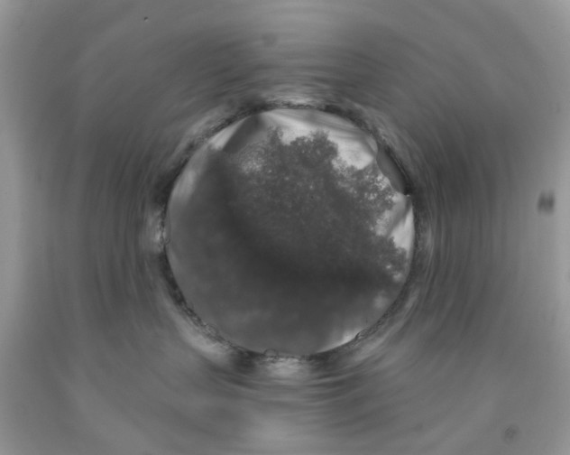 X0000091530383200709141440