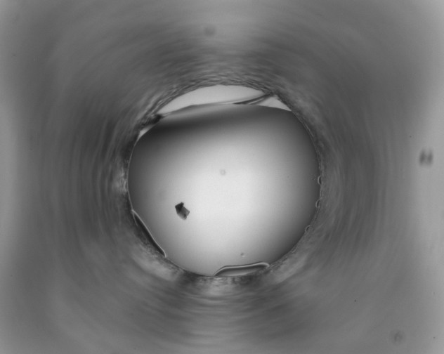 X0000091530384200709141440