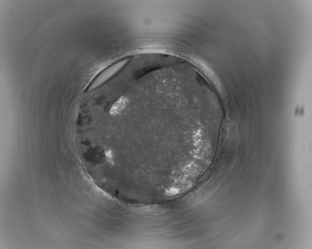 X0000091530385200709141439