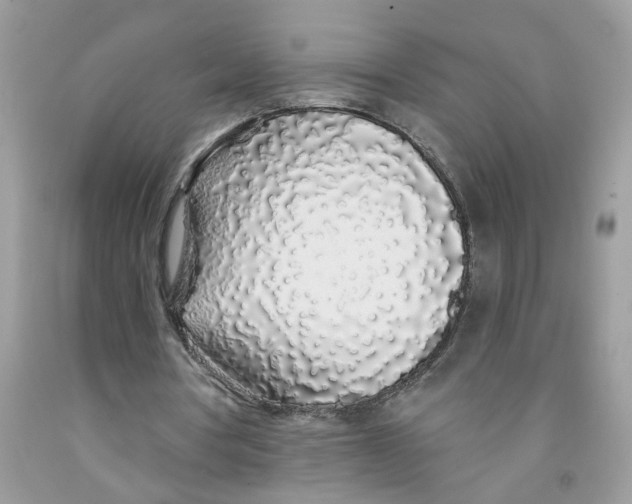 X0000091530386200709141439