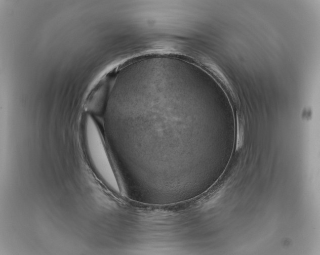 X0000091530387200709141439