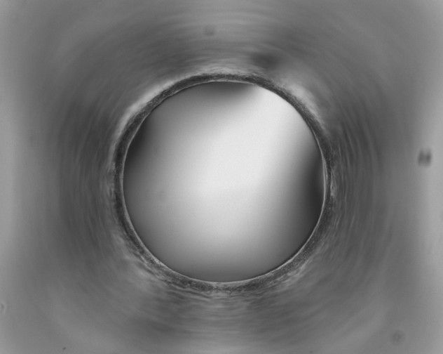 X0000091530388200709141439