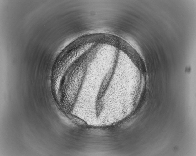 X0000091530389200709141439