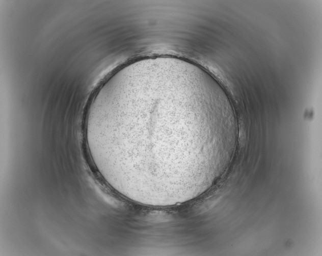 X0000091530390200709141439