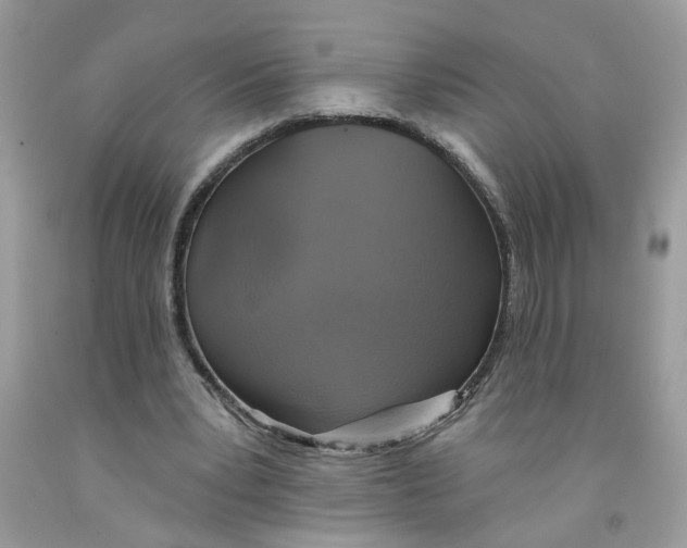 X0000091530391200709141439