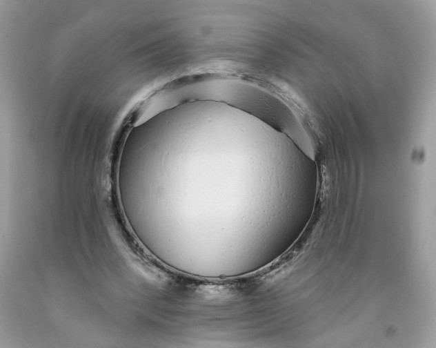 X0000091530392200709141439